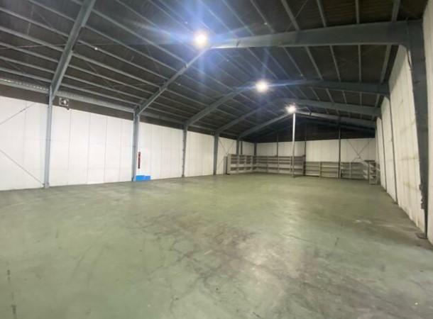 �y���̑������E�X�y�[�X�z�@