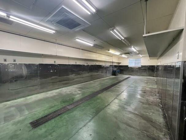 �y���̑������E�X�y�[�X�z�@